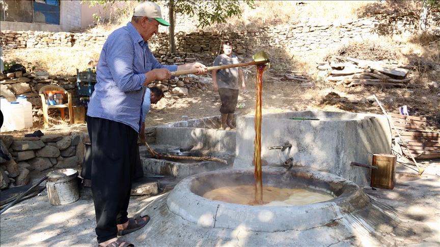 Osmaniye'de bağ bozumunun ardından pekmez yapımına başlandı