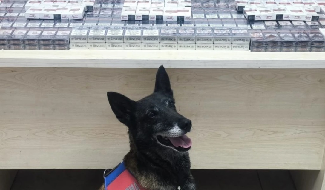 Kayseri'de 320 paket bandrolsüz kaçak sigara ele geçirildi