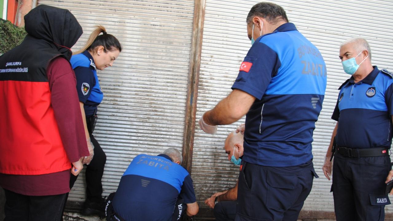 Şanlıurfa’da 1 Ton Bozuk Et Ele Geçirildi!