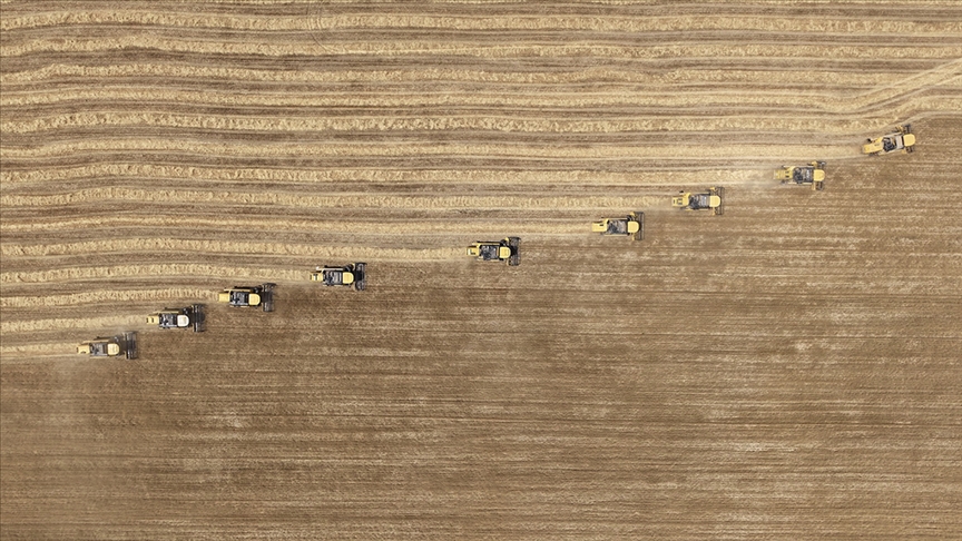 Tarımsal girdi fiyat endeksi ağustosta yıllık yüzde 34,09, aylık yüzde 1,3 arttı