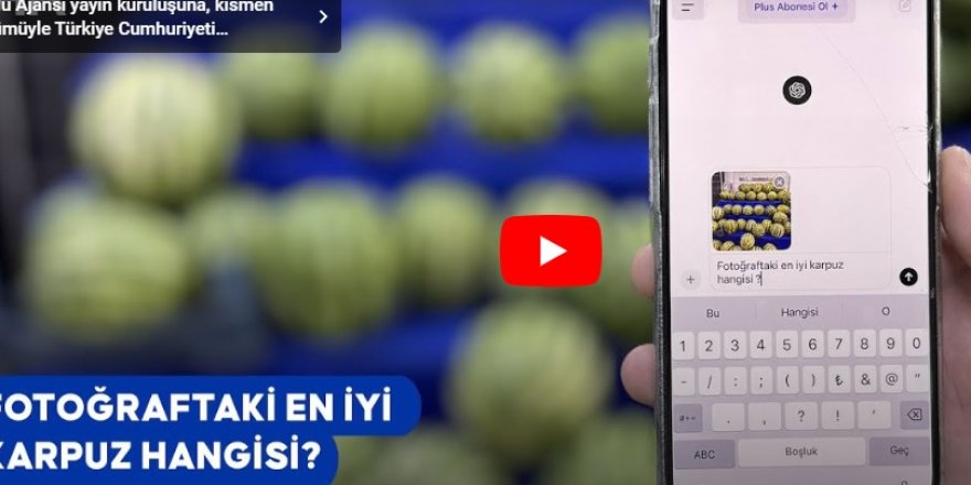 Yapay zekaya karpuz seçtirdik|Doğru seçimi yapabildi mi?