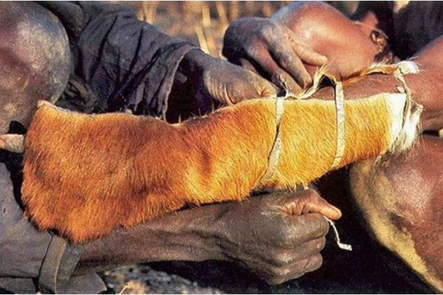 Dev Pitonun Yuvasına Daldı