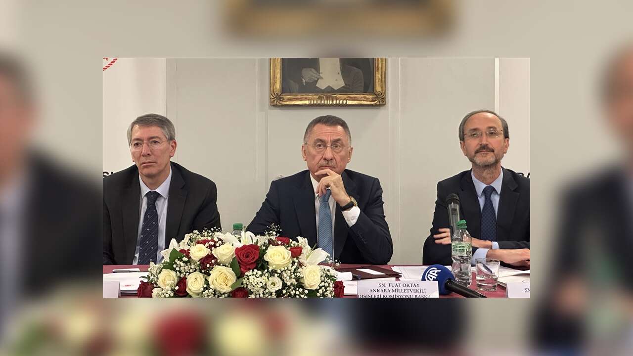 Fuat Oktay, Fransa'da asimile olmadan entegre olmuş bir Türk toplumu istediklerini belirtti