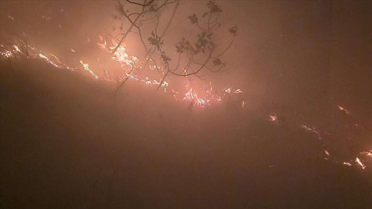 Hatay'da ormanlık alanda yangın çıktı!