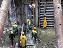 Rusya'nın Vladivostok Ketinde Toplu Mezar Bulundu