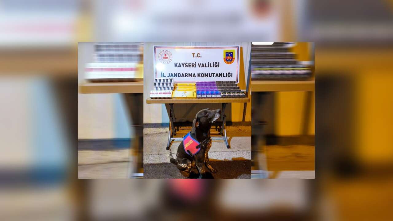 Kayseri'de 750 paket bandrolsüz kaçak sigara ele geçirildi