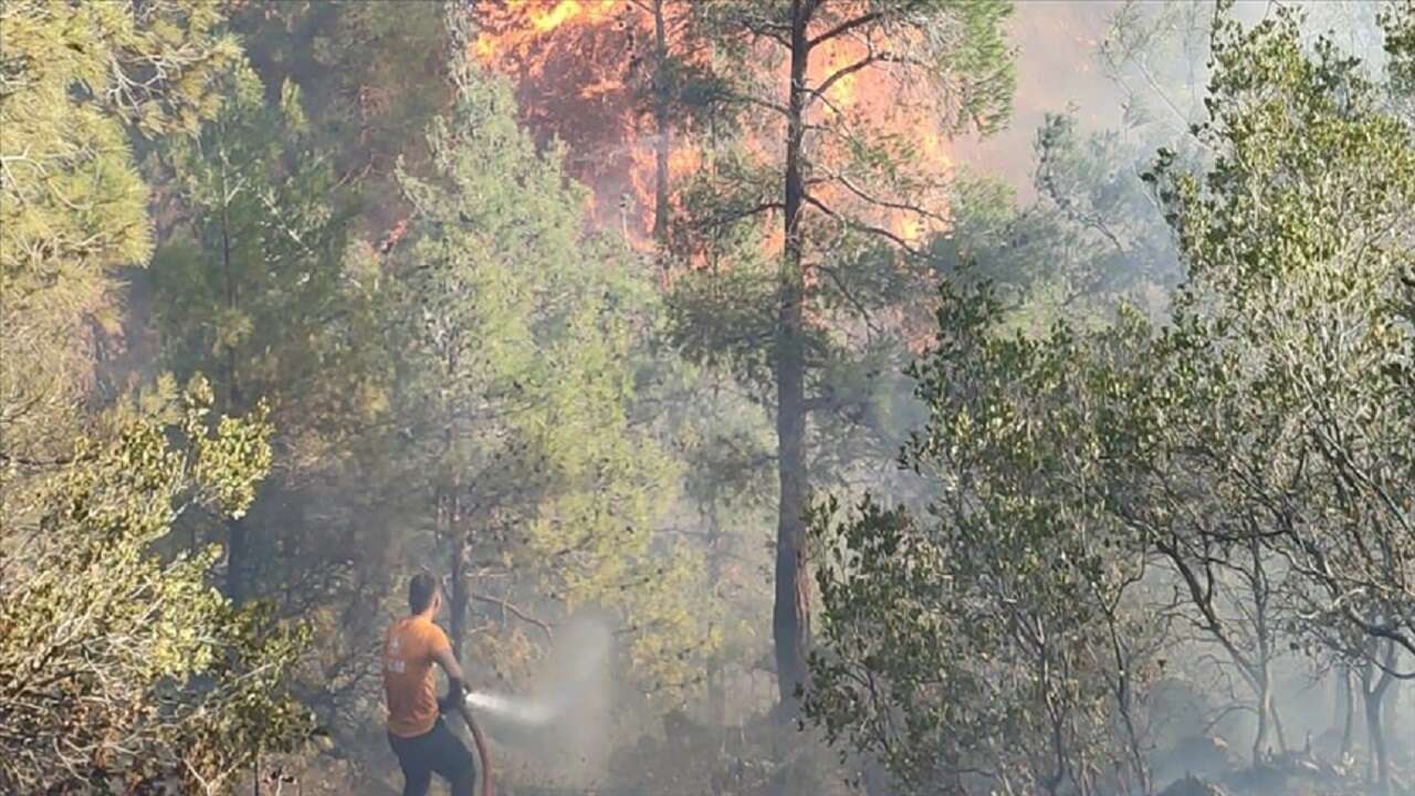 Hatay'da çıkan orman yangınına müdahale ediliyor