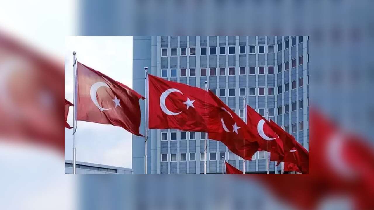 OECD Türkiye için büyüme tahminini yükseltti