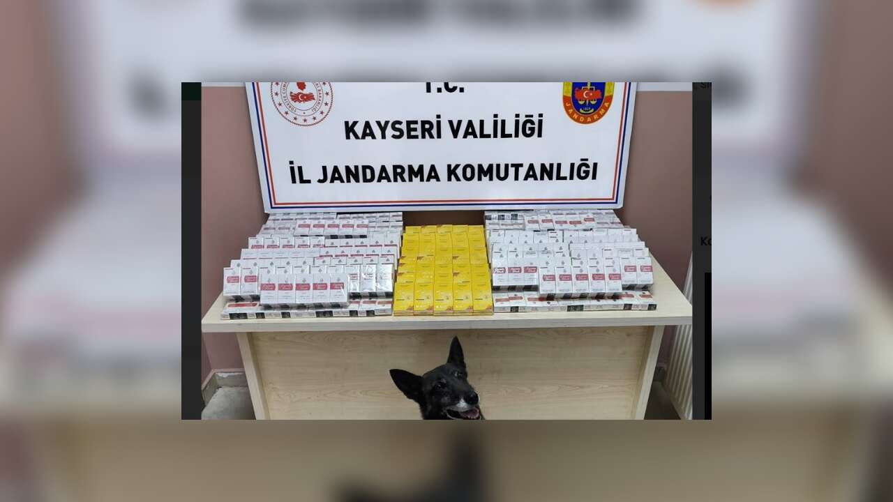 Kayseri'de 630 paket bandrolsüz kaçak sigara ele geçirildi!