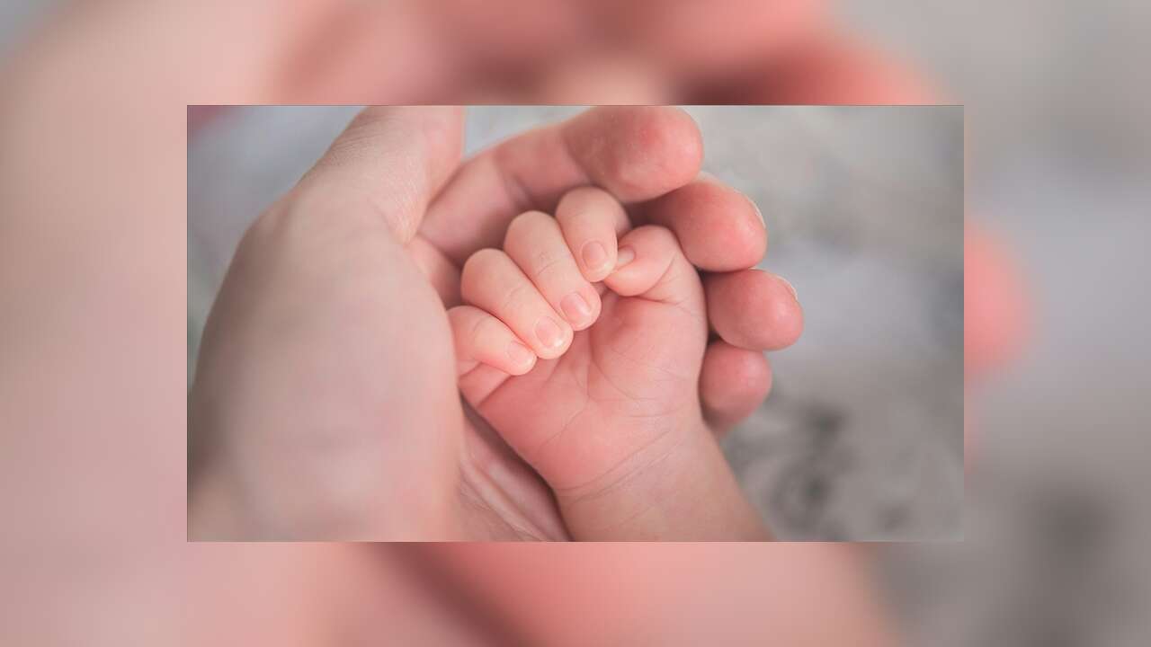 "24 haftalık ücretli doğum izni" tüm kadın çalışanları kapsayacak