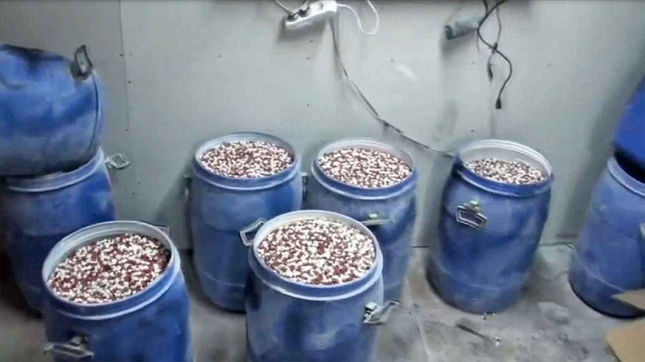 İst. ve İzmir'deki operasyonlarda yaklaşık 7 milyon uyuşturucu hap ele geçirildi!