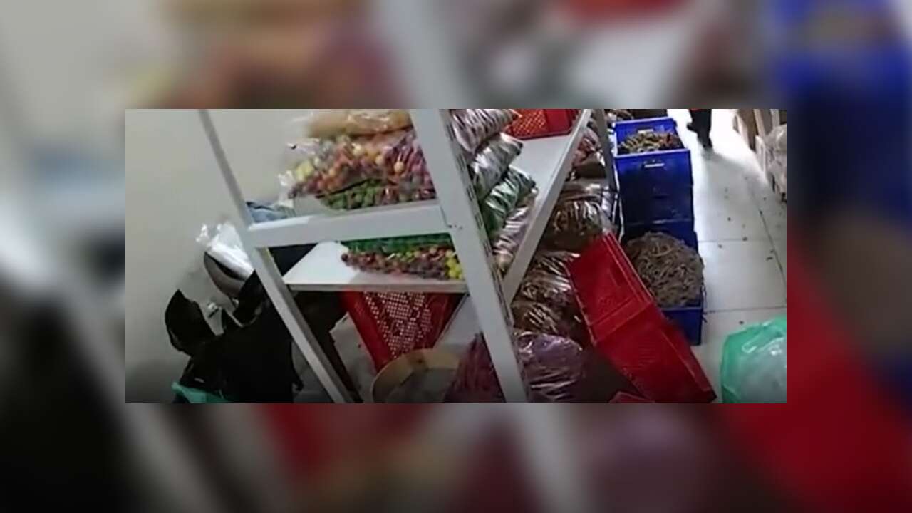 Hepsini Çocuklara Yedireceklerdi! Jelibon, Şekerleme... Tam 9 TON