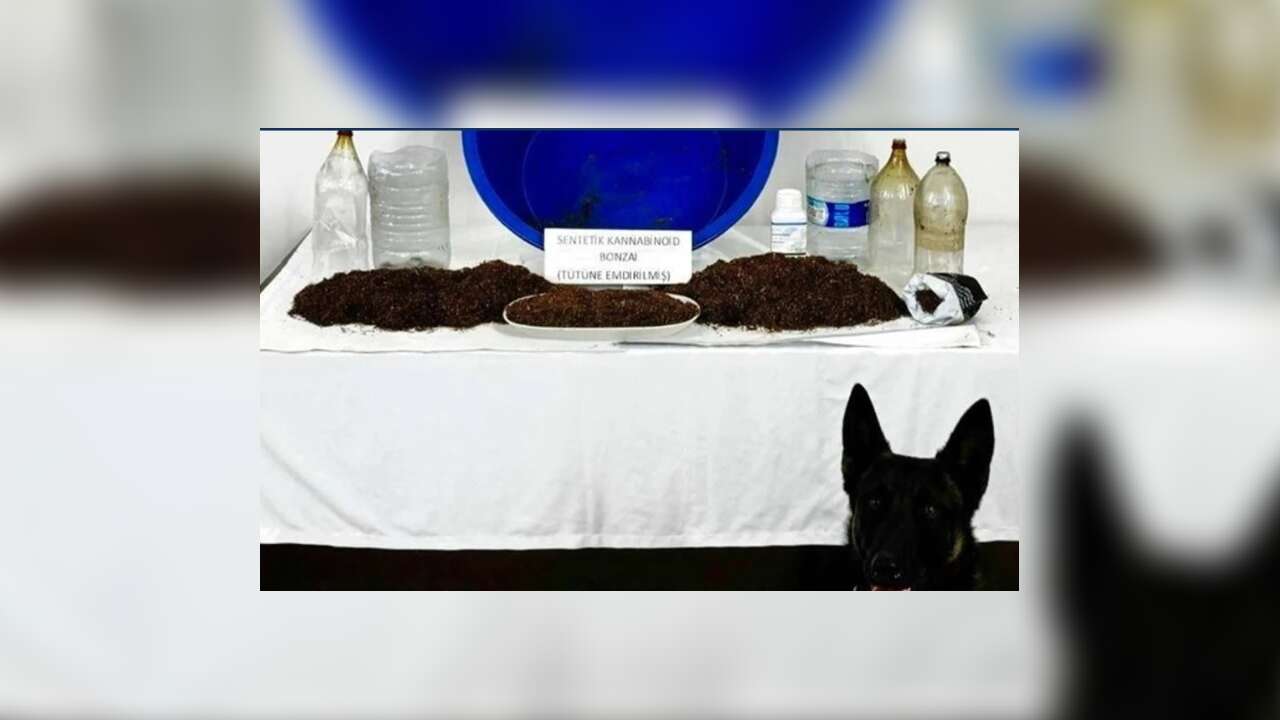 Çankırı'da uyuşturucu operasyonu