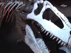 Kopenhag'ı Dinozorlar Bastı!!