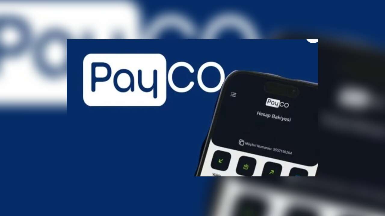 PAYCO Elektronik Para ve Ödeme Hizmetleri AŞ'ye yönelik soruşturmada 28 zanlı yakalandı