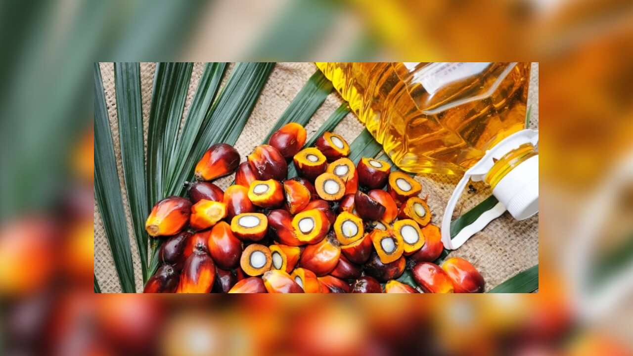 Palm yağı ithalatına sıkı takip: Her parti ürün analiz edilecek