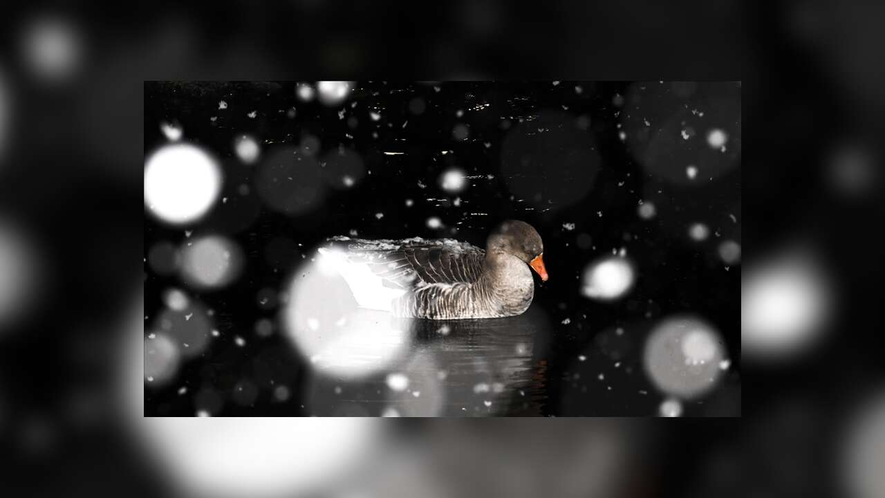 Ankara'nın yüksek kesimlerinde kar yağışı etkili oldu