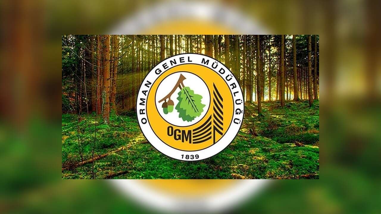 Orman Genel Müdürlüğü 26 işçi istihdam edecek