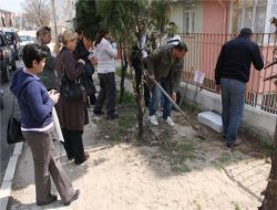 Edirne'de Sokak Hayvanlarının Beslenmesi İçin Yalaklar Yapıldı
