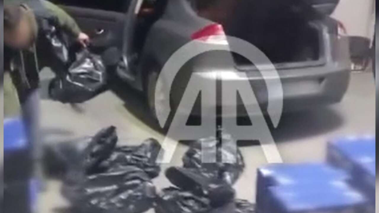 Kapıkule ve Hamzabeyli sınır kapılarında 2 MİLYON liralık kaçak ürün operasyonu