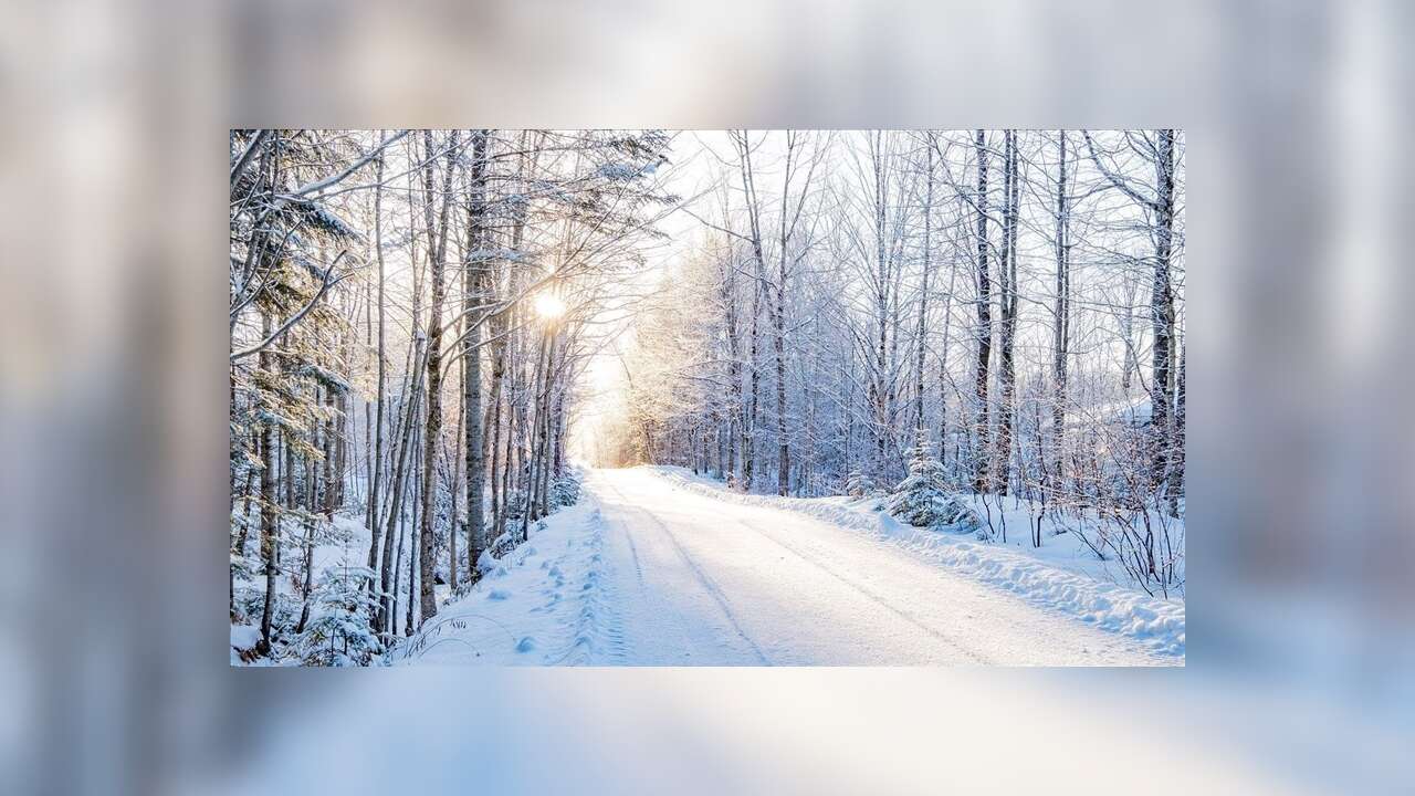 LASİD'den yarıyıl tatilinde güvenli sürüş için uyarı