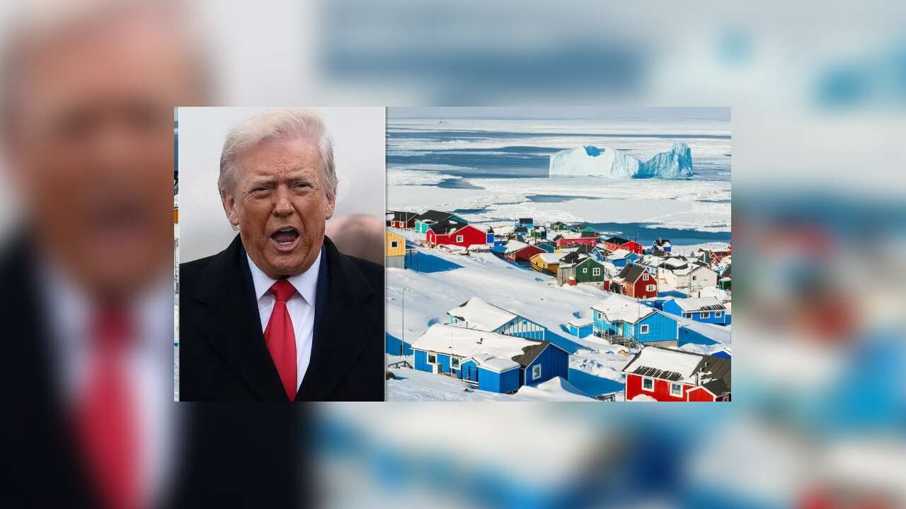 Alman askerleri Grönland'dan ayrılıyor