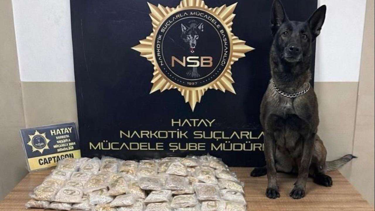 Zeytinyağı tenekelerinden 100 Bin uyuşturucu hap çıktı!