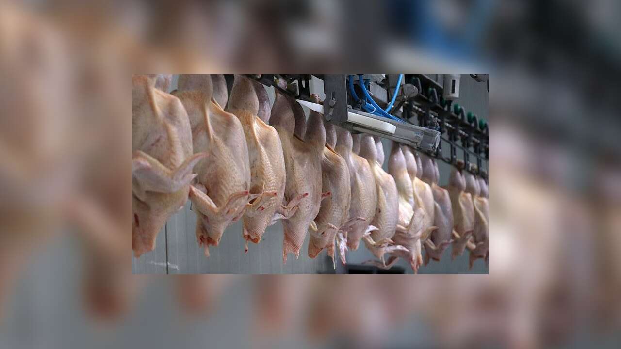 Ticaret Bakanlığı'ndan, kanatlı eti ihracatının durdurulmasına ilişkin açıklama