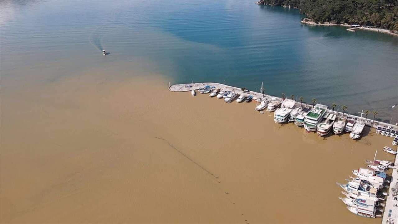 Muğla'da Gökova Körfezi'nin rengi değişti!