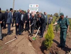 İzmir Valisi Kıraç: Ağaçlandırma Çalışmaları Bizler İçin Ulvi Bir Görev