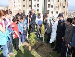 Edremit Belediyesi, Atatürk Mahallesi'nde Ağaçlandırma Çalışması Başlattı