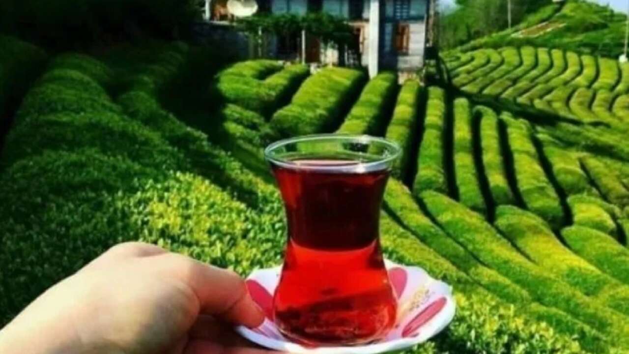 Türk çayının ihracat geliri ocakta yüzde 66 arttı!