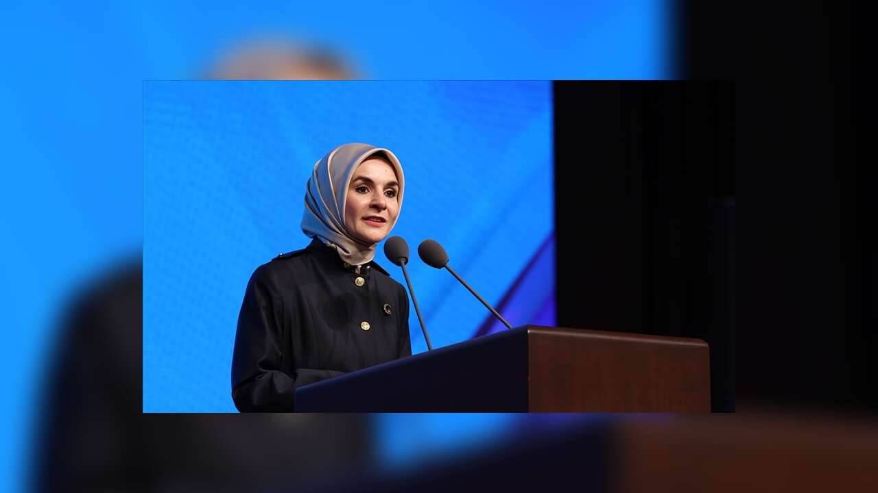 Aile ve Sosyal Hizmetler Bakanı Göktaş'tan "dijital oyun platformlarına" ilişkin açıklama