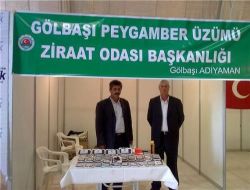 Gölbaşı Peygamber Üzümü Malatya Tarım Fuarı'nda Görücüye Çıktı