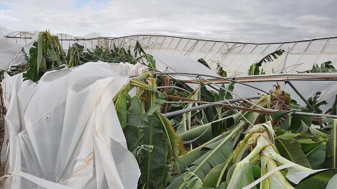 Mersin'de şiddetli rüzgar ve dolu nedeniyle 150 dönüm sera zarar gördü