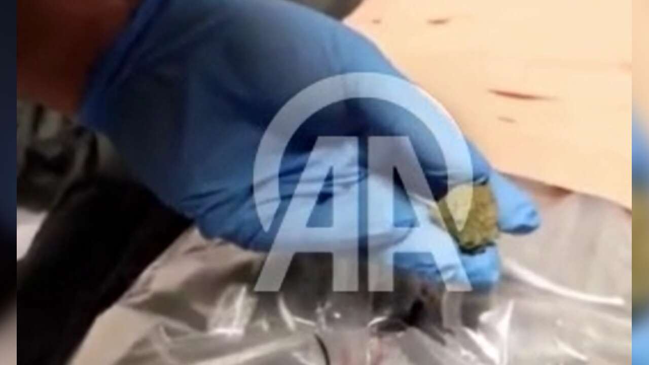 KAPIKULE'de 2 kişinin montunda 12 kilo uyuşturucu çıktı!