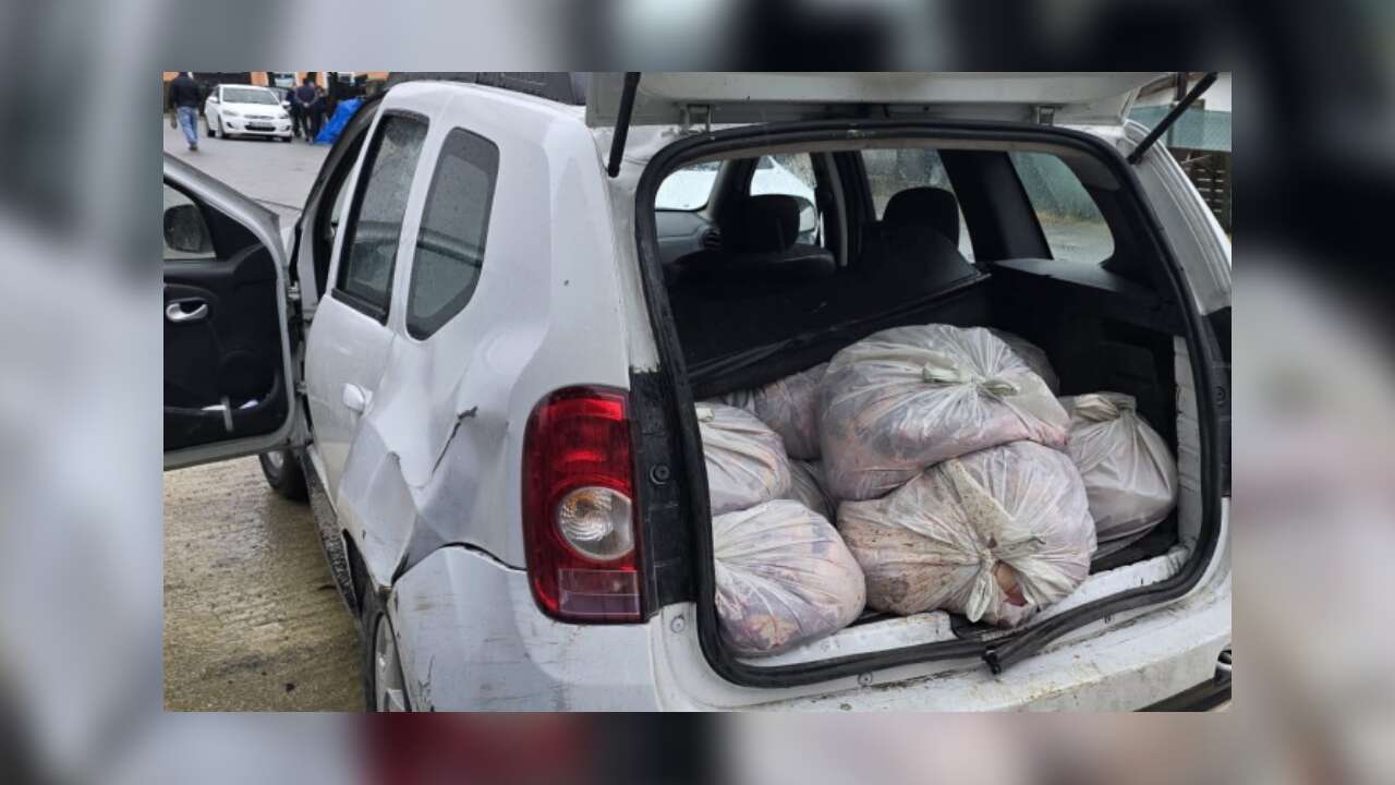 'İstanbul'da At Eti Operasyonu'