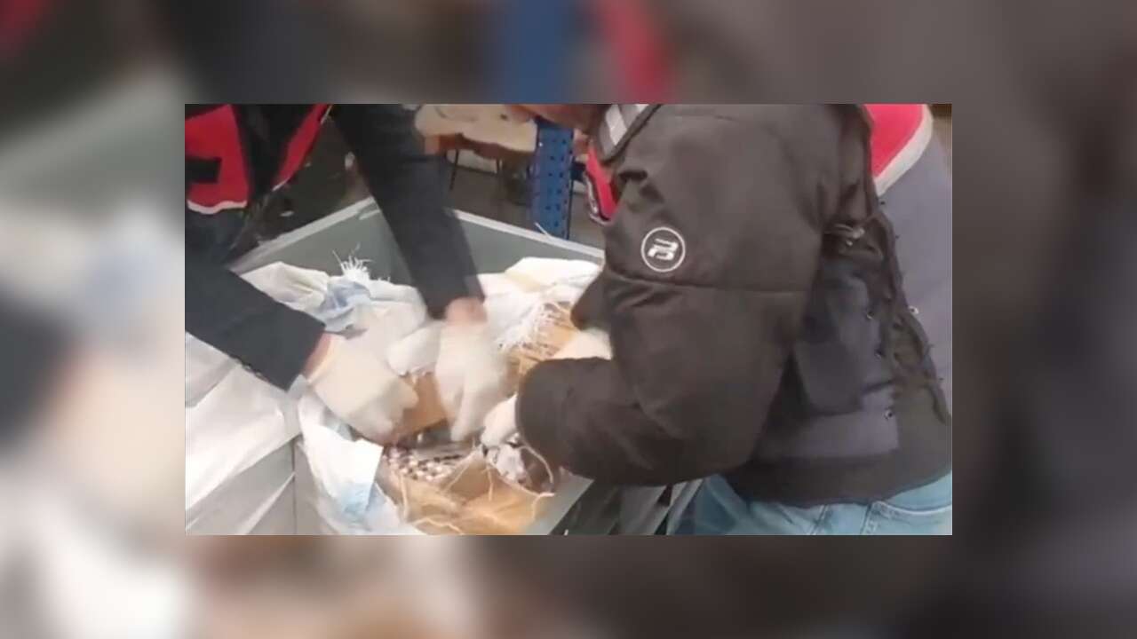 Sosyal medya üzerinden uyuşturucu satanlara yönelik operasyonlarda 99 şüpheli tutuklandı