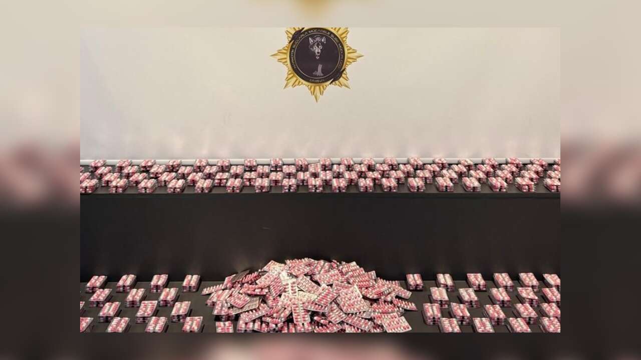 Samsun'da Dev Uyuşturucu Operasyonu