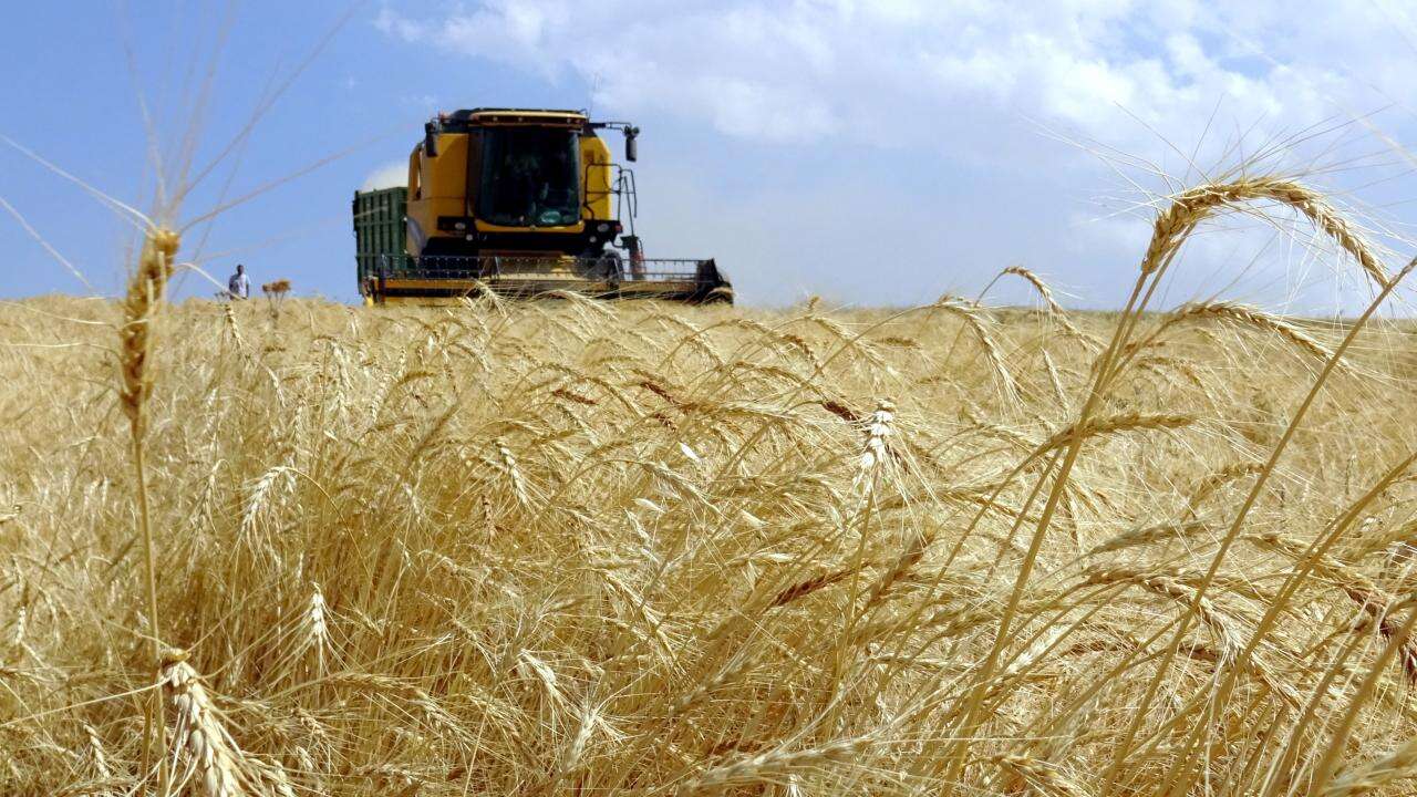 Çaycuma'da dev tarım yatırımı: 1000 kişilik istihdam