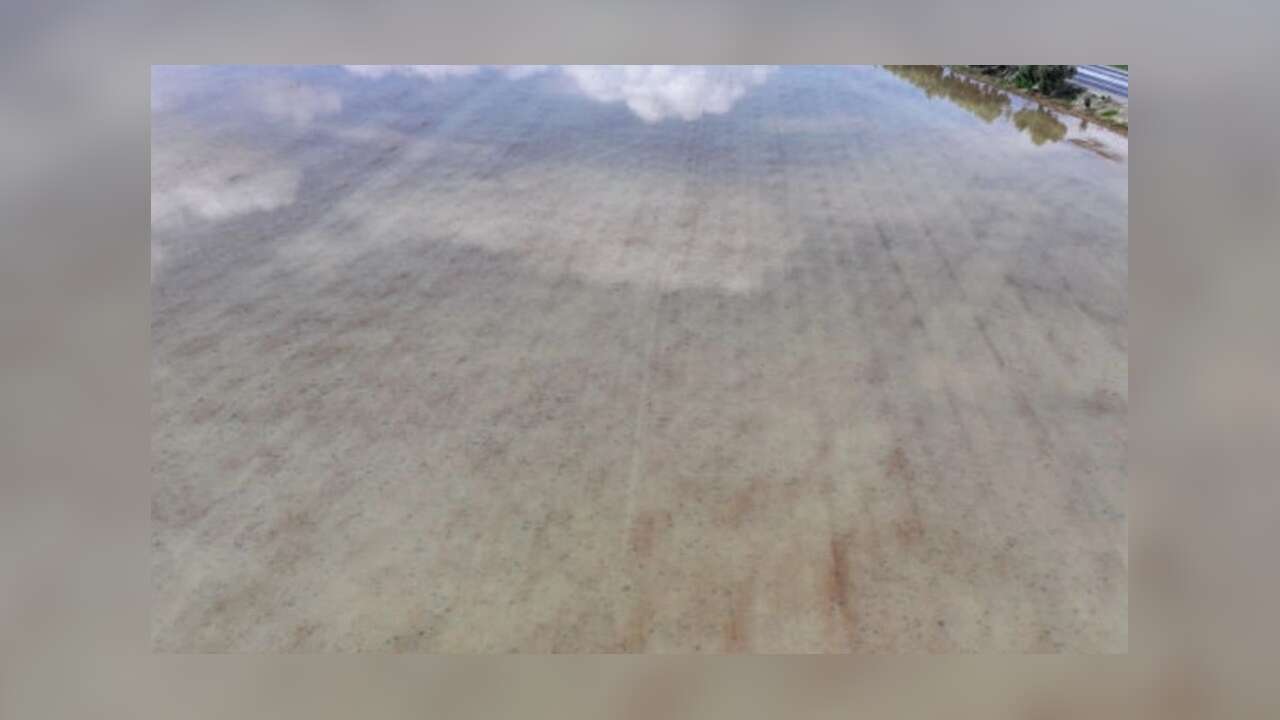 Çiftçinin gözü gökyüzünde, kulağı meteorolojik raporlarda