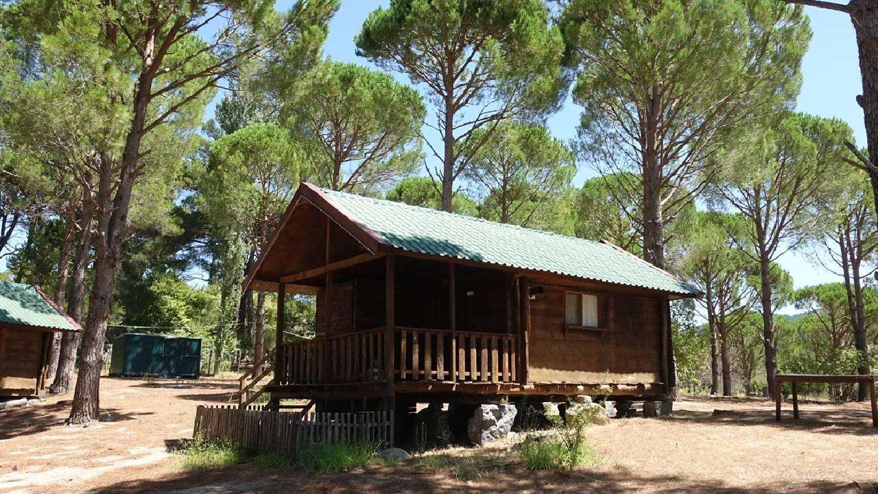 210 Milyon dolandıran Bungalov çetesine operasyon