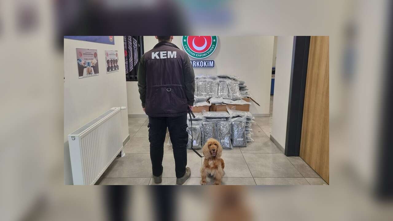 Gümrükler Muhafaza ekipleri 2 ayrı operasyonda 420 kilogram uyuşturucu ele geçirdi