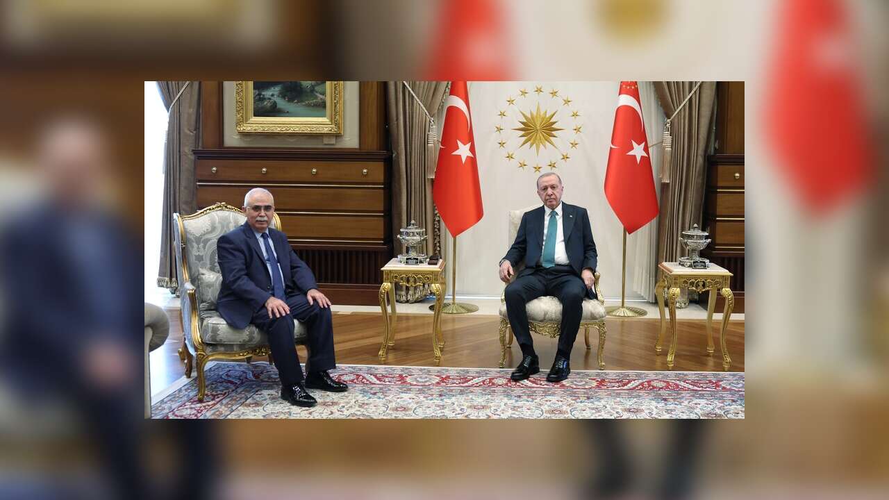 Cumhurbaşkanı Erdoğan, AYM Başkanı Özkaya'yı kabul etti