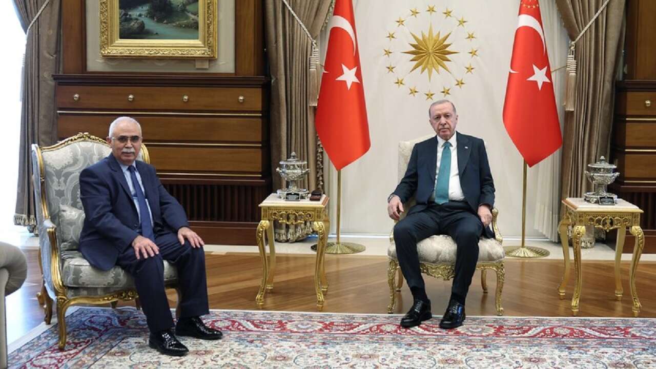 Cumhurbaşkanı Erdoğan, AYM Başkanı Özkaya'yı kabul etti