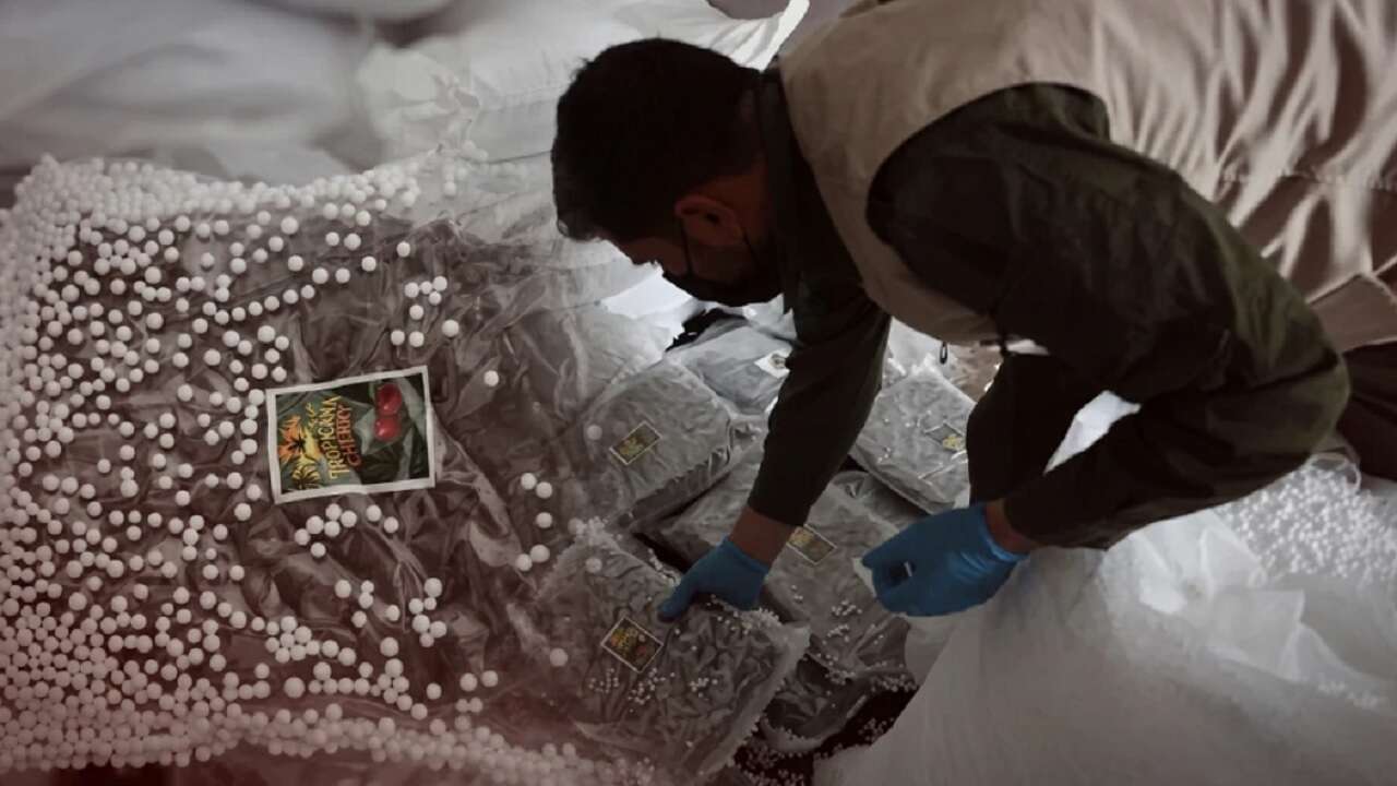 MİT ve Suriye'den ortak uyuşturucu operasyonu. Kilolarca ele geçirildi, değeri 300 milyon lira