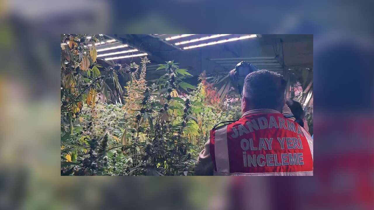 Jandarmanın 30 ildeki narkotik operasyonlarında yakalanan 122 şüpheli tutuklandı