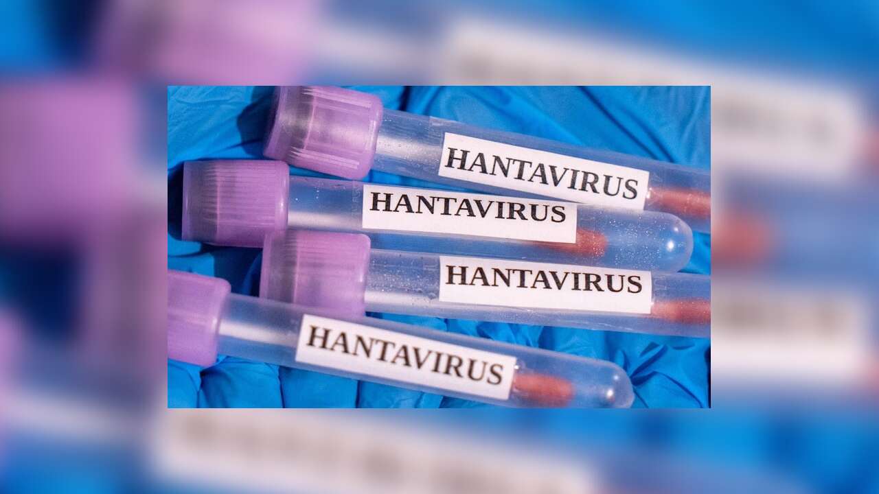 İngiltere: Bir İngiliz vatandaşında daha hantavirüs şüphesi tespit edildi