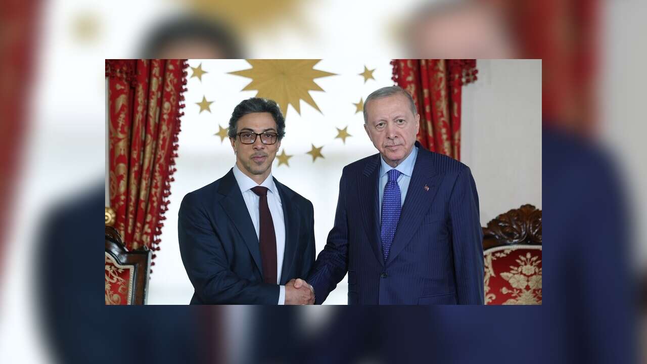 Cumhurbaşkanı Erdoğan, BAE Devlet Başkan Yardımcısı Şeyh Mansur'u kabul etti