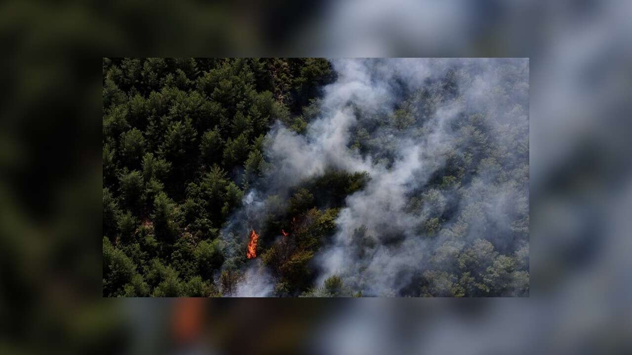 Fethiye'de çıkan orman yangınına müdahale ediliyor